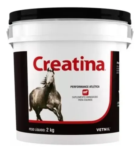 Creatina JCR (Vetnil)